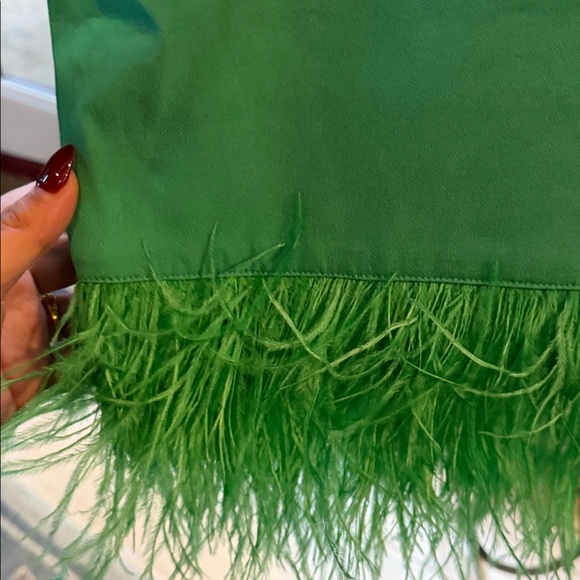 J. Crew Collection Crepe Feather Trim Green Sleeveless Lined Sz M Dress NWT - Picture 4 of 14